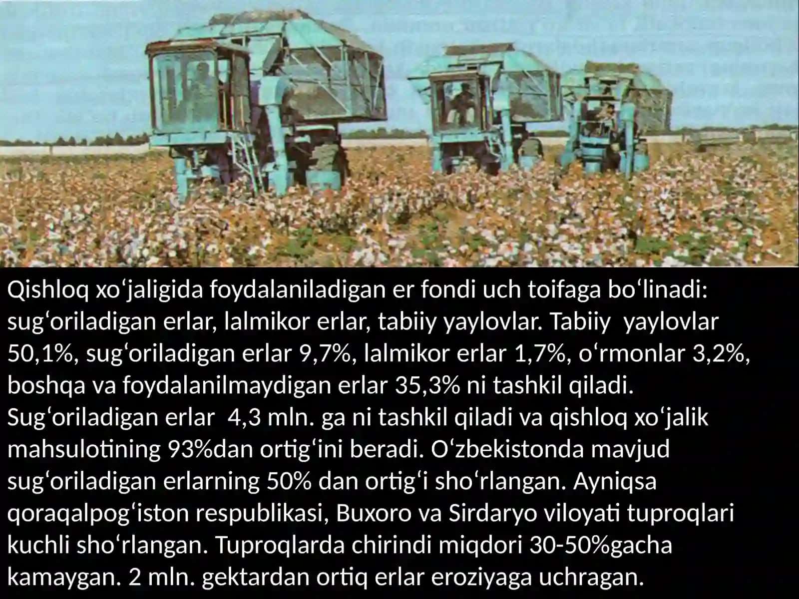 Tuproqhillarinitasniflash 3