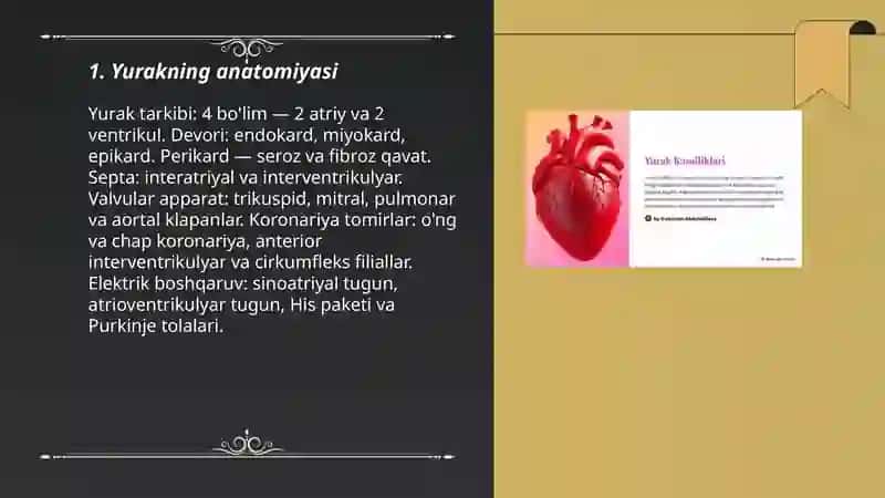 Yurak qon tomirlari sistemasi 3