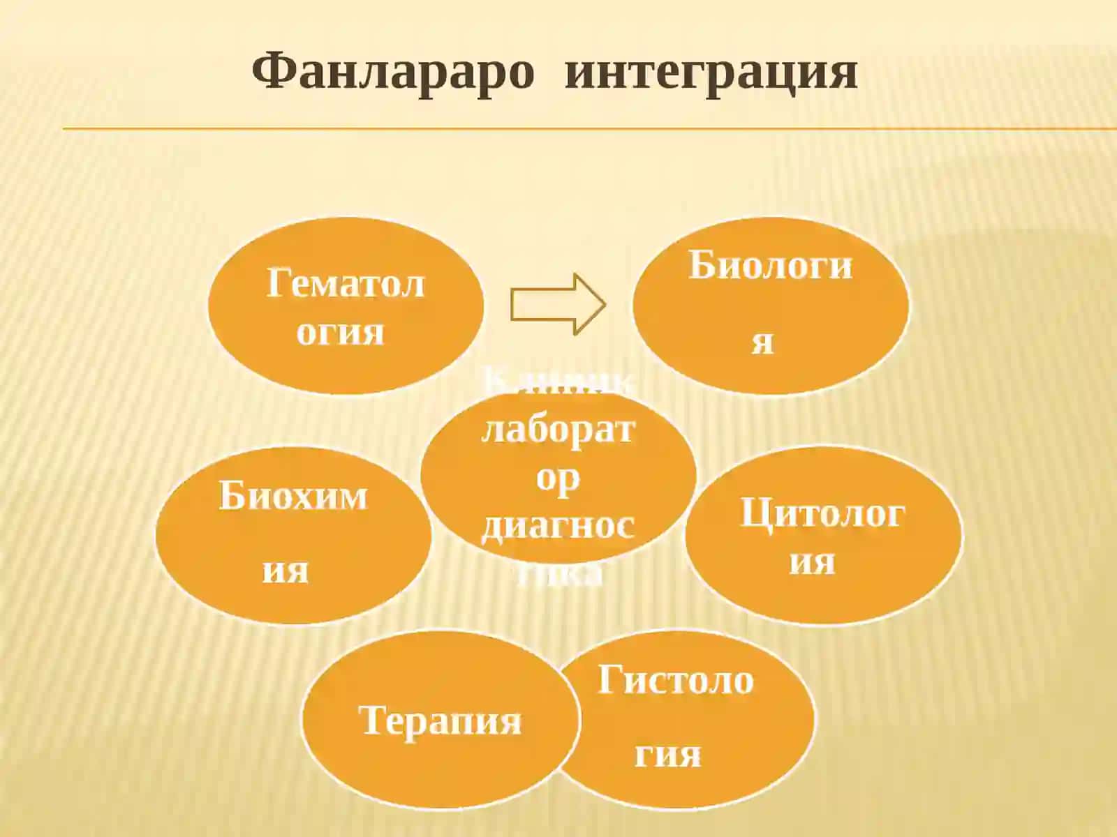 Ассистент қаригова 3