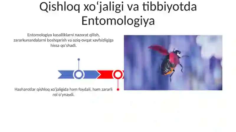 Entopsixologiya va Entomologiya 3