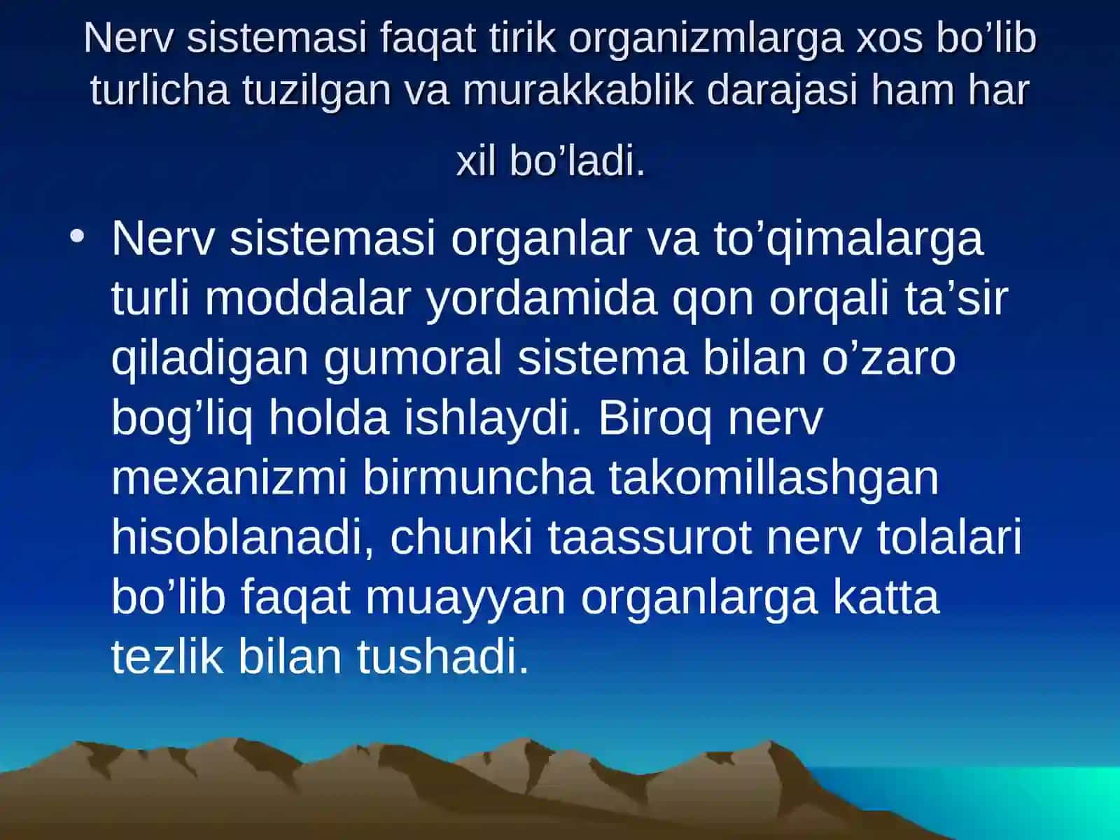 Nerv tizimi anatomiyasi 3