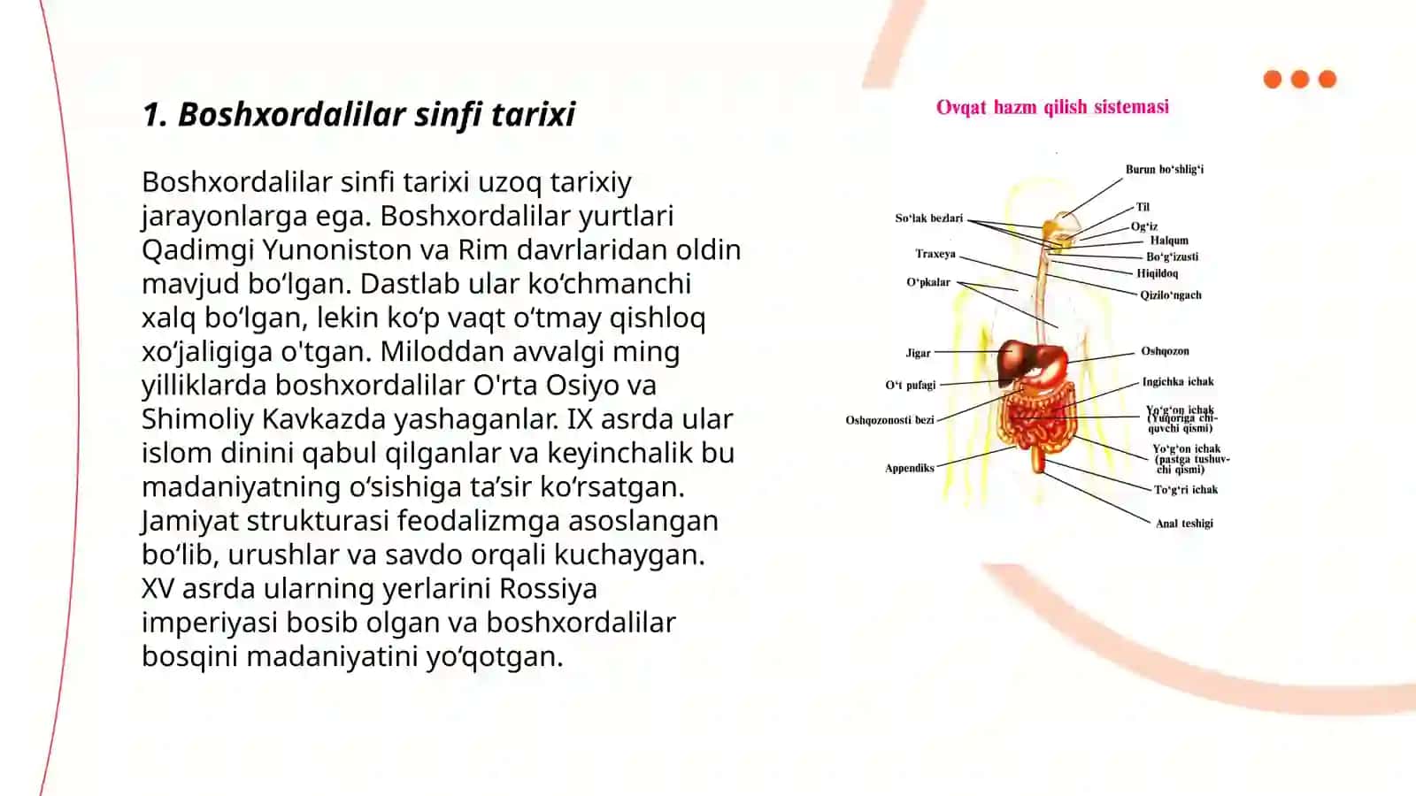 Boshxordalilar sinfi 3