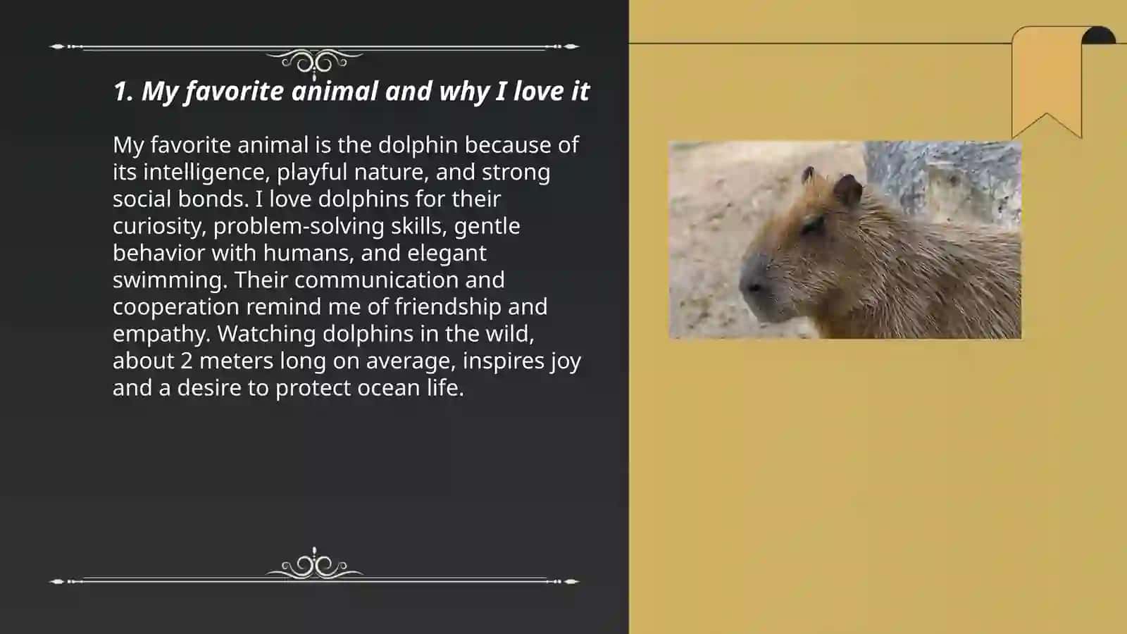 My favorite animals 3
