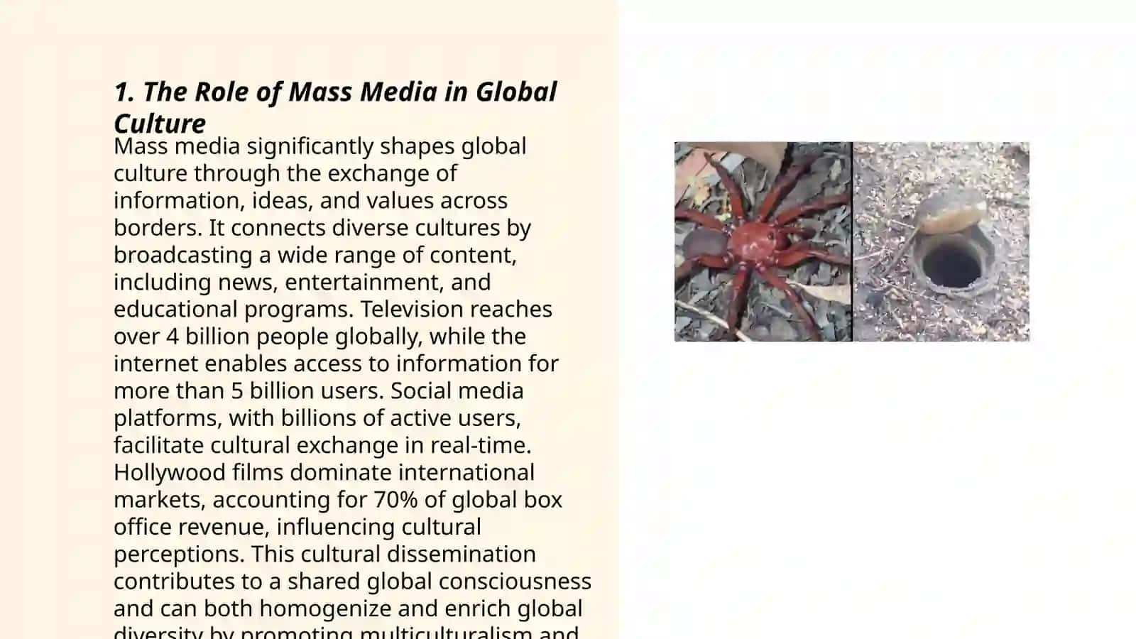 Mass Culture as a Tool for Globalization 3