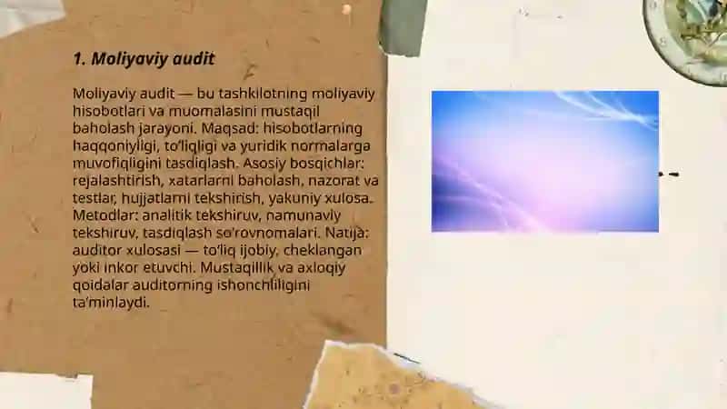 Auditorlik tekshiruvining turlari va shakllari 3