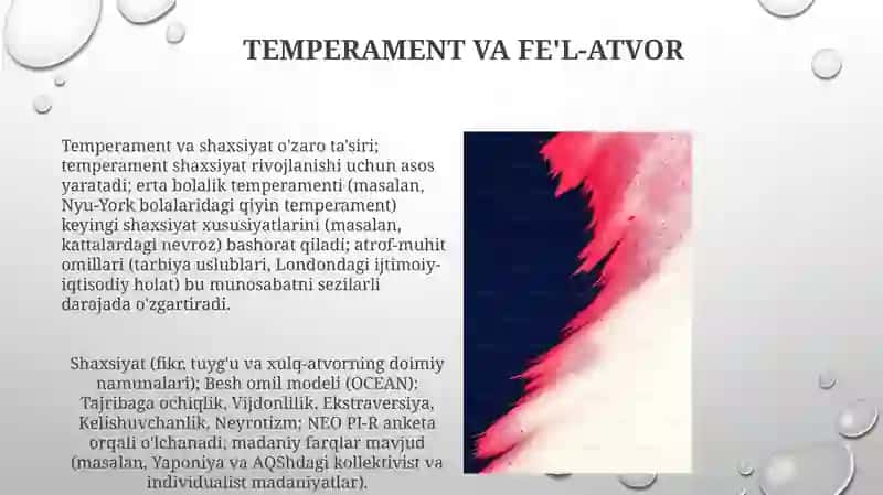 Temperament va fe'l-atvor 3