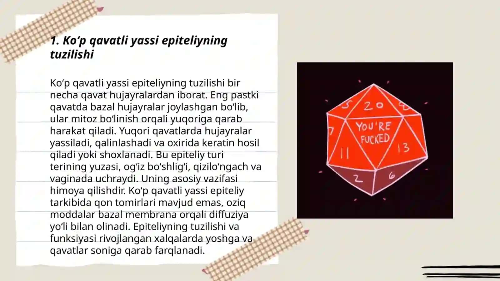 Koʻp qavatli yassi epiteli tuzilishi 3