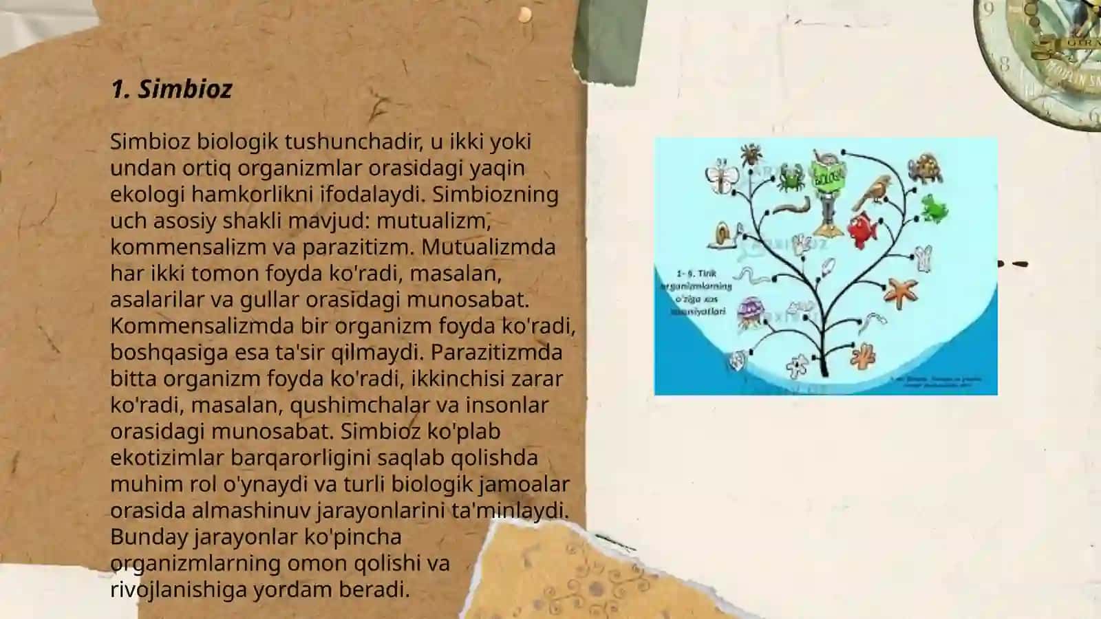 Simbioz 3
