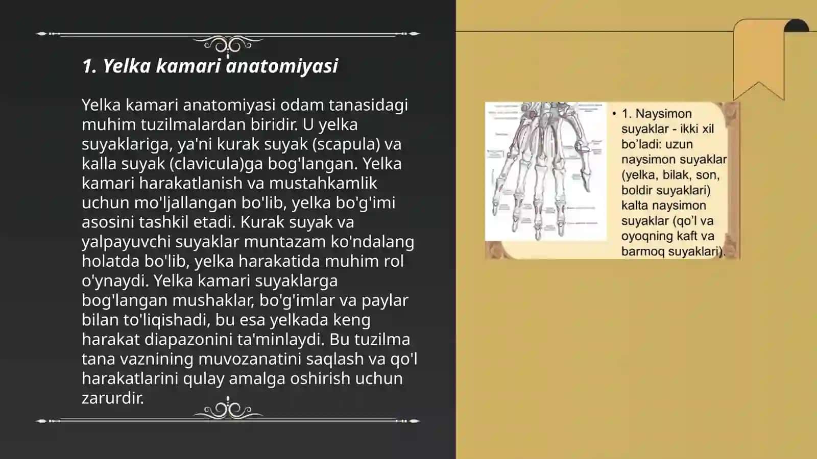 Yelka kamari va qõl suyagi 3