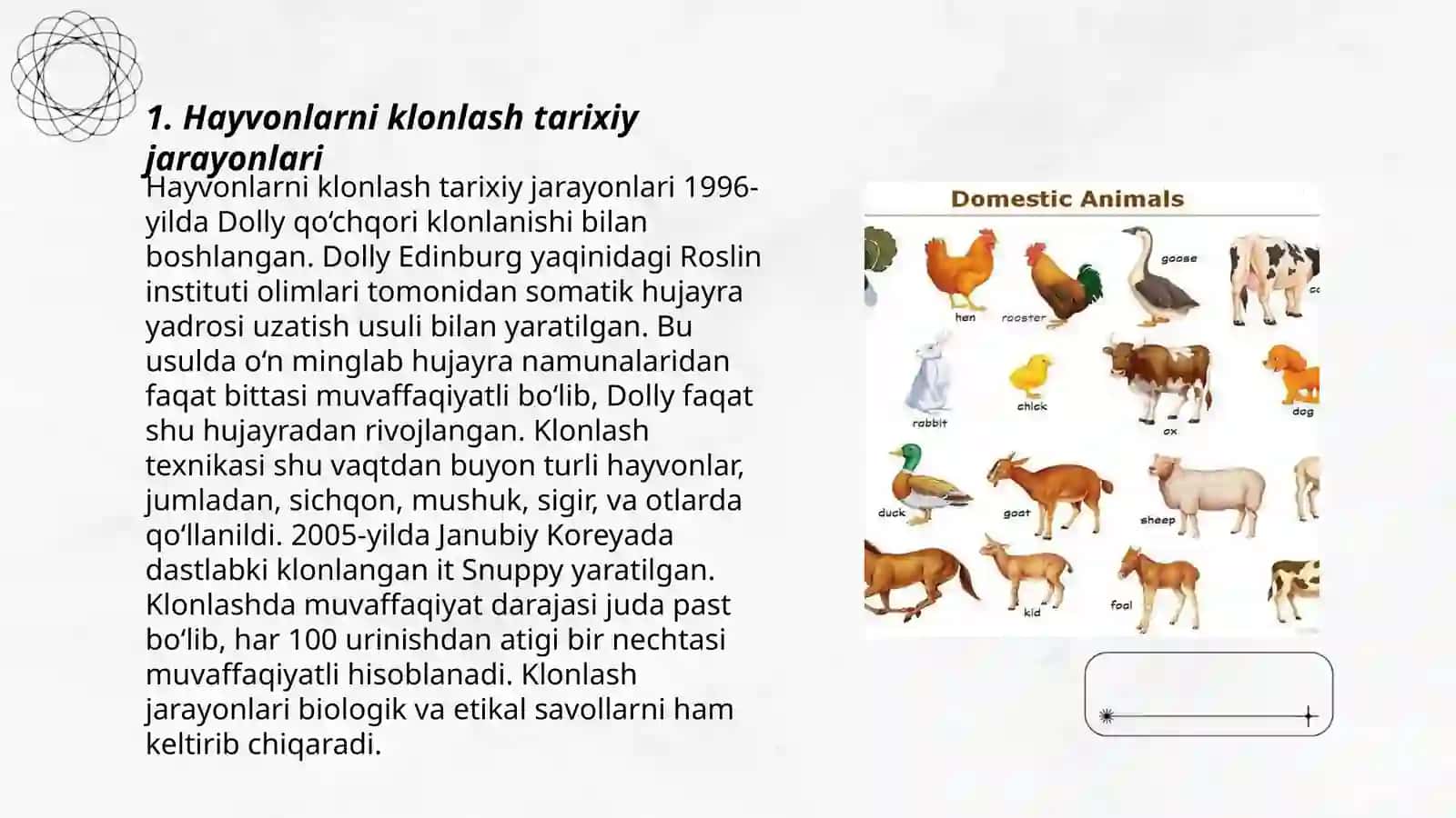 Hayvonlarni klonlash 3