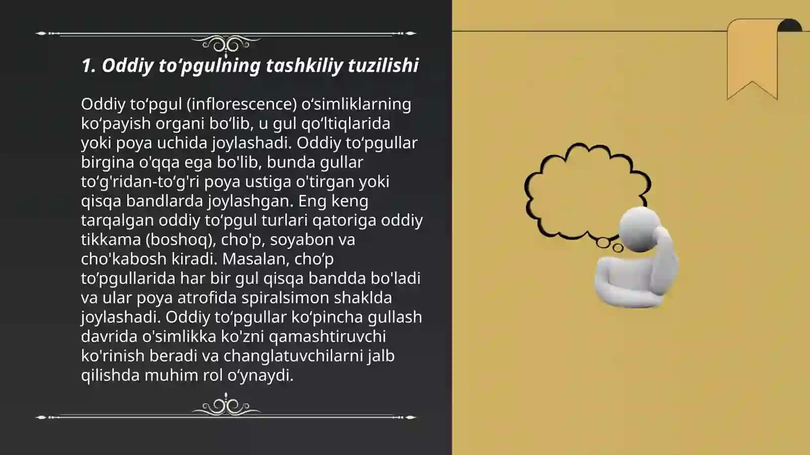 Oddiy va murakkab toʻpgullar 3