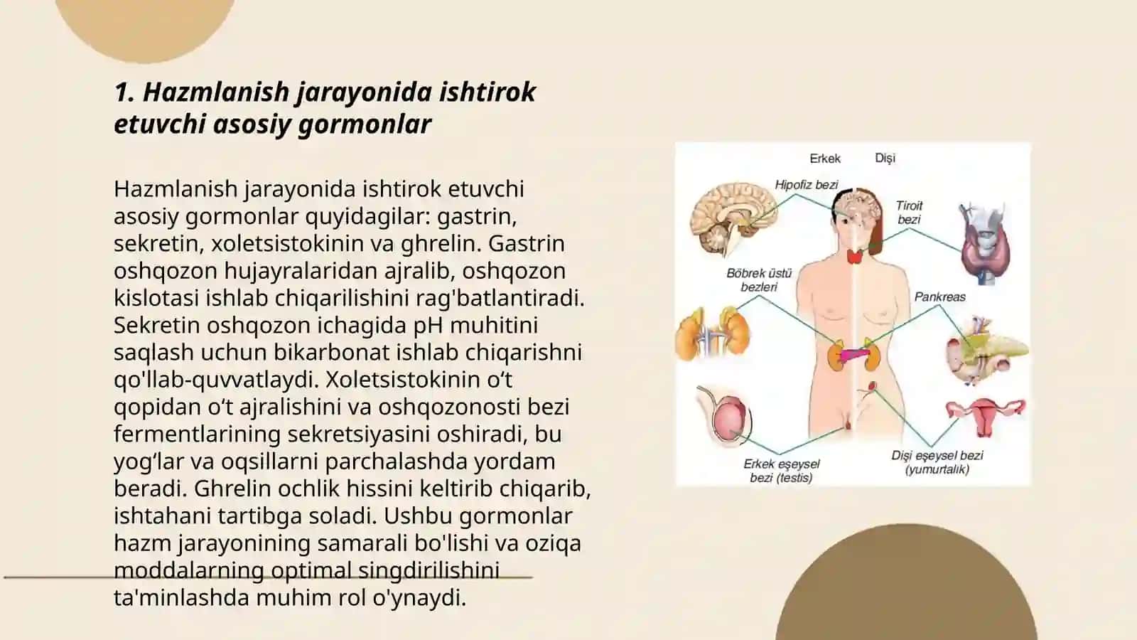 Me’da-Ichak Tizimining Endokrin Xujayralari 3