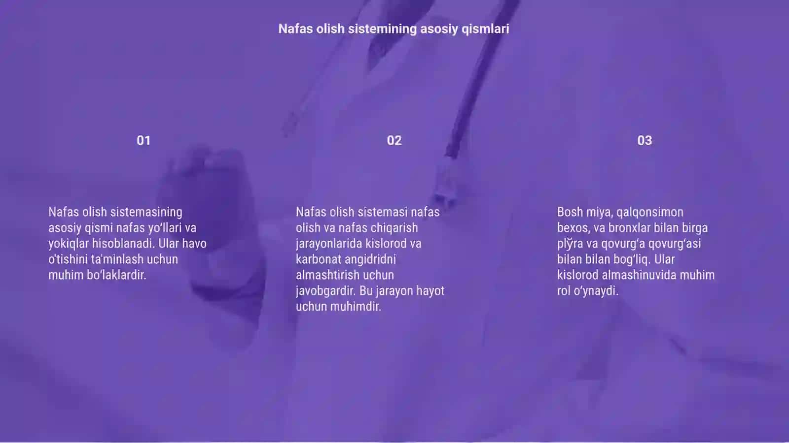 Nafas olish sistemasi 3
