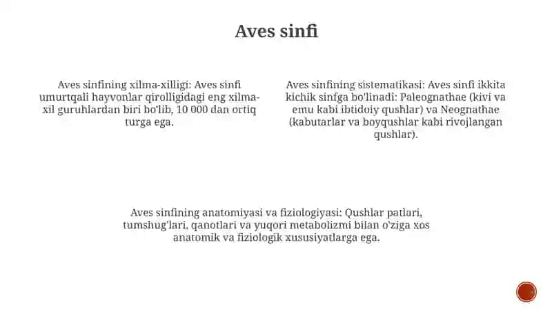 Qushlar Sistematikasi 3