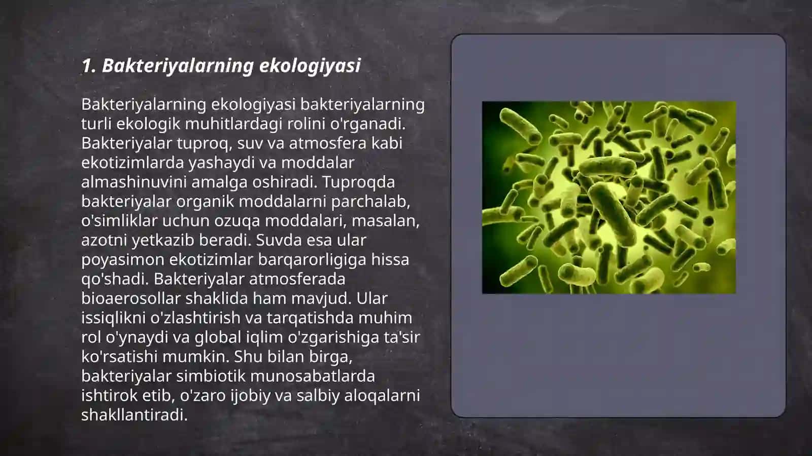 Bakteriyalar ekologiyasi 3