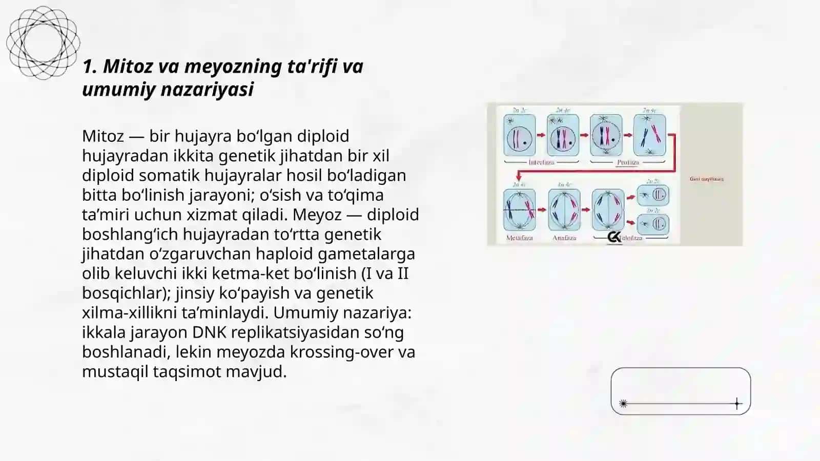 Meyoz va Mitoz Farqi va O’xshashligi 3