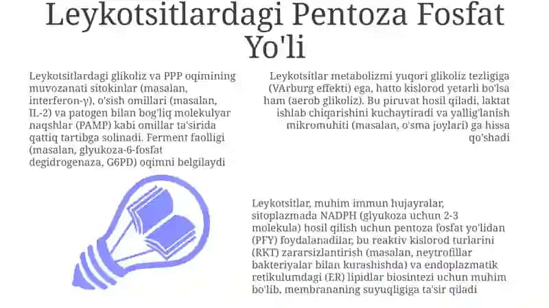 Leykotsitlar metabalizmi xususiyatlari 3