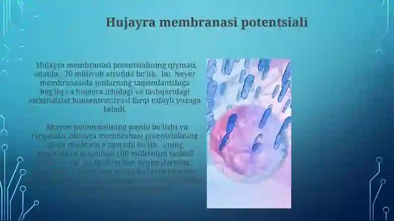 Hujayralardagi elektrolitlarning vazifalari 3