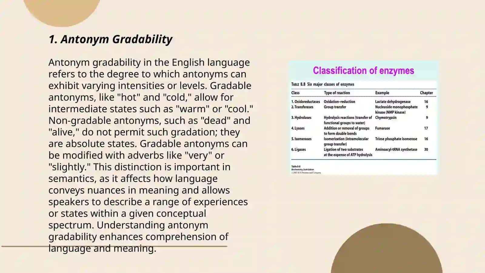 Classification of antonyms and classification 3
