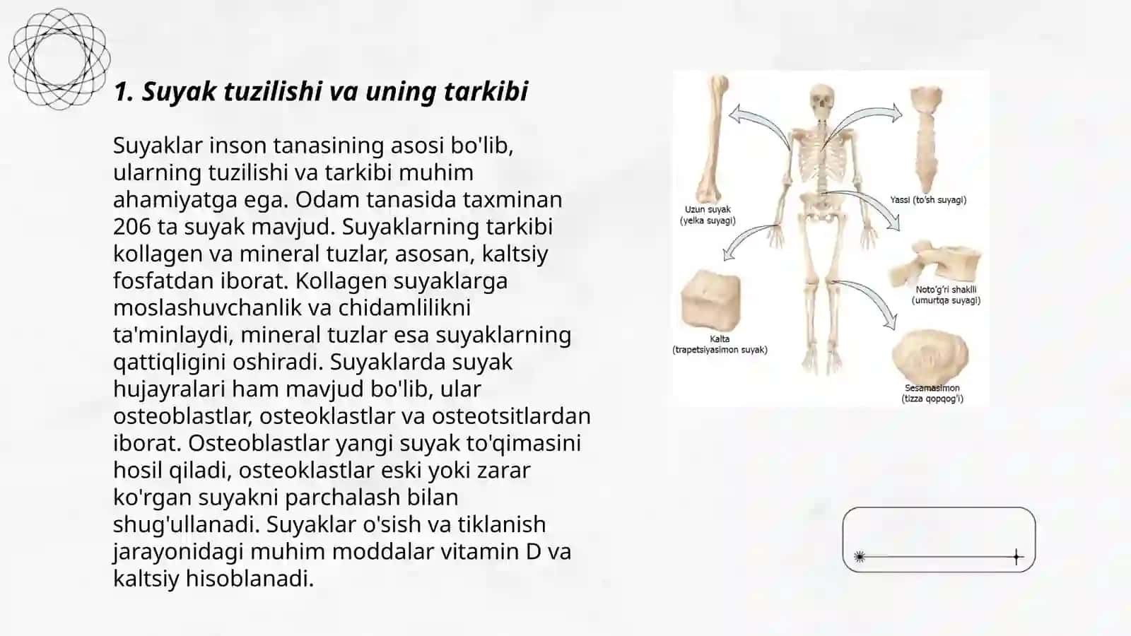 Suyak toʻqimasi 3