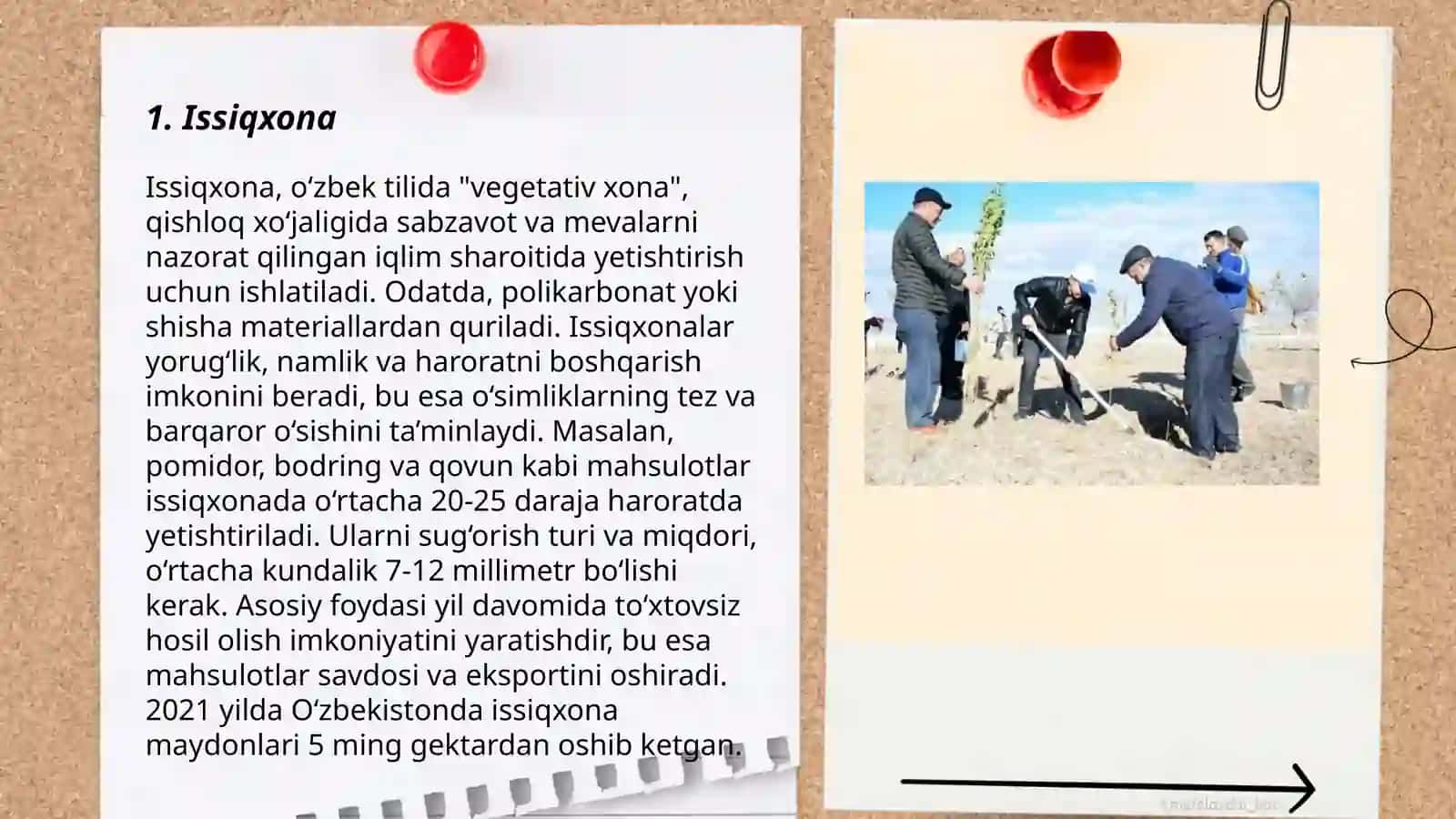 Issiqxona 3