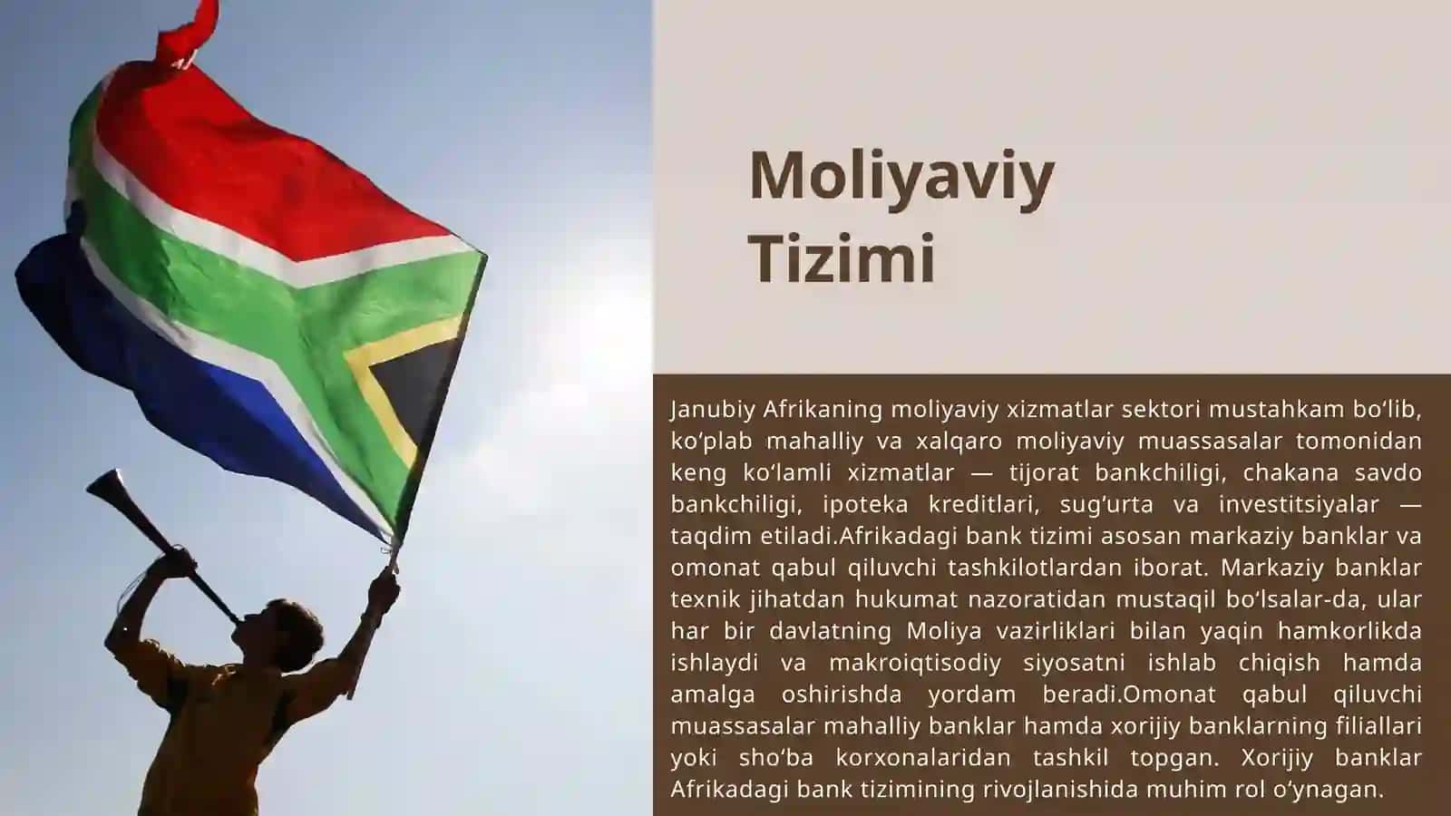 Janubiy Afrika Respublikasi Moliya tizimi 3