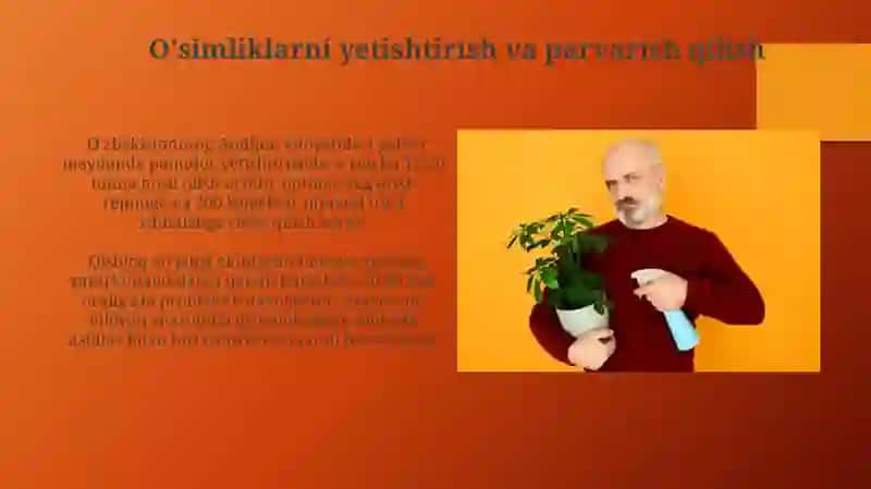 Odam va o'simliklarning munosabatlari 3