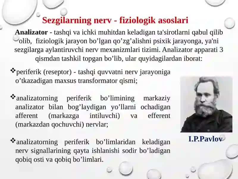Sezgi 3