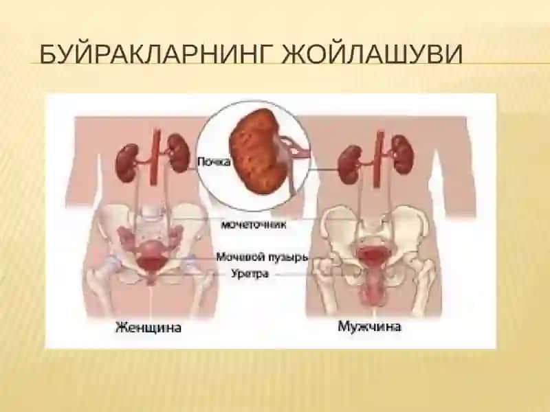 Сийдик Айирув Системаси 3