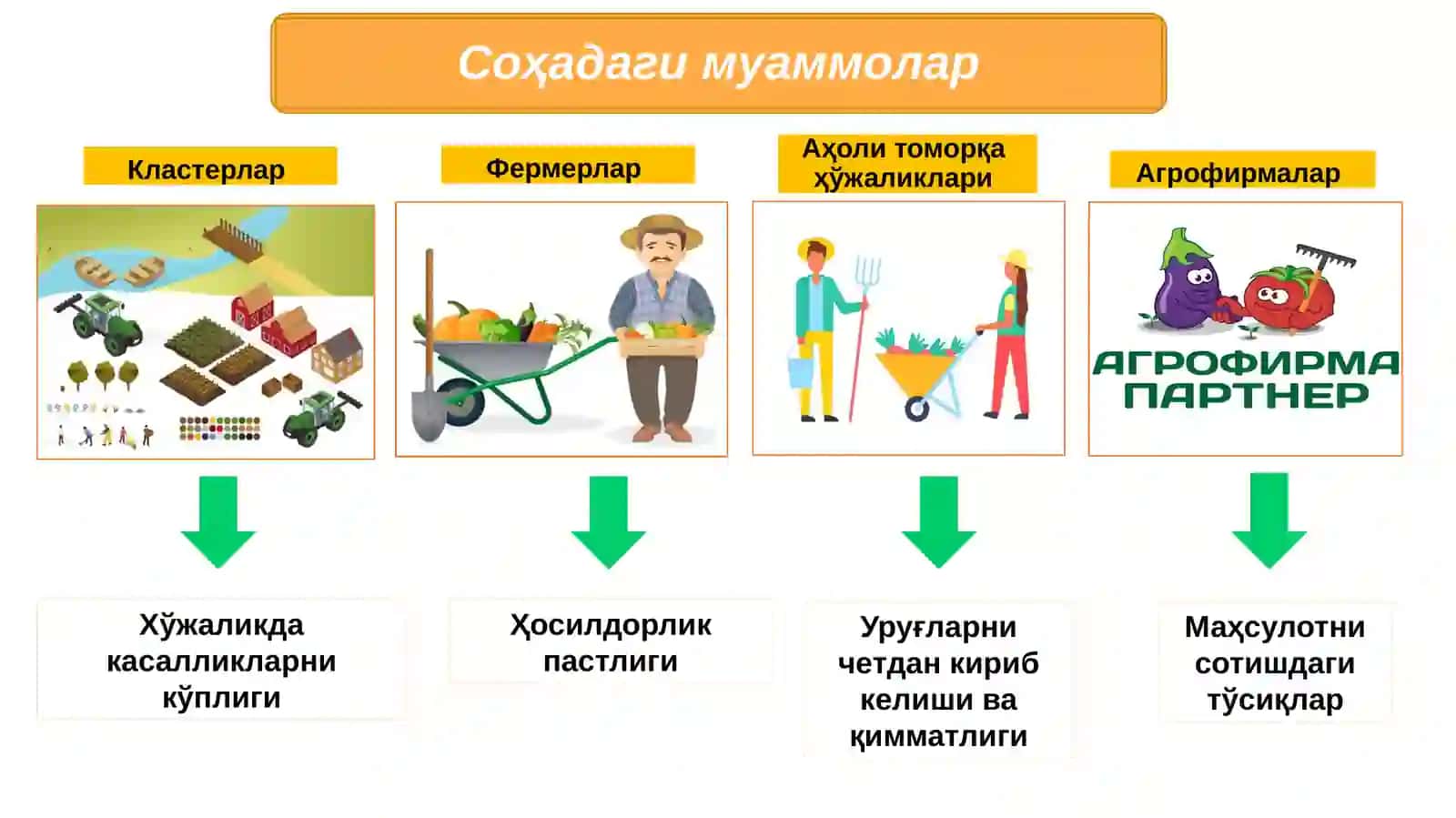 Деҳқончиликда ҳосилдорликни оширишнинг замонавий усуллари 3