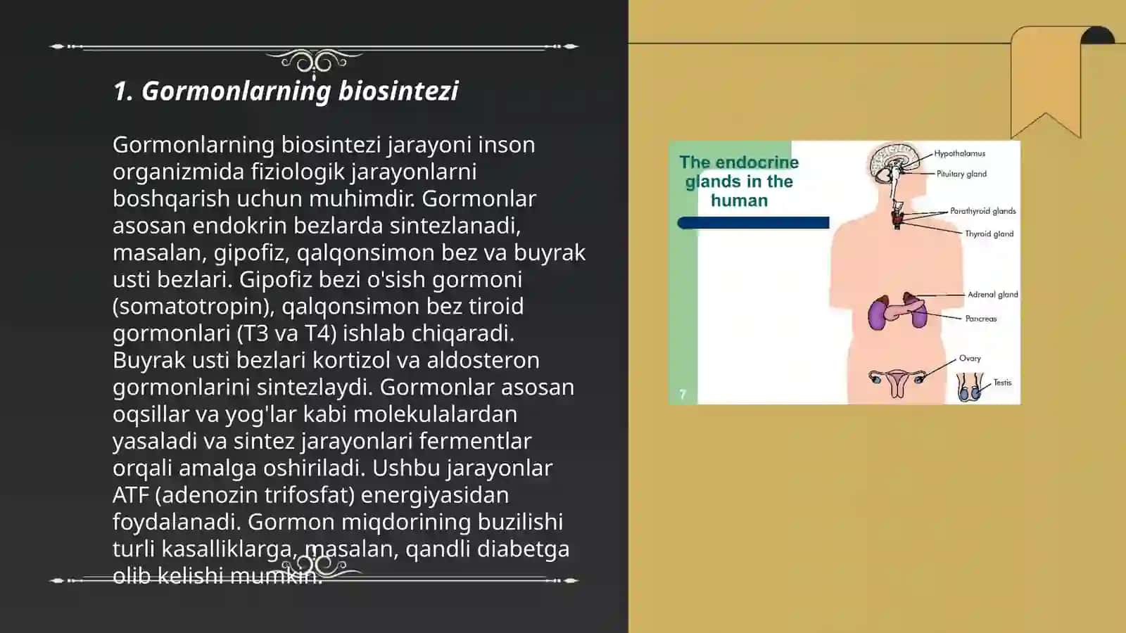 Endokrin tizimi biokimyosi 3