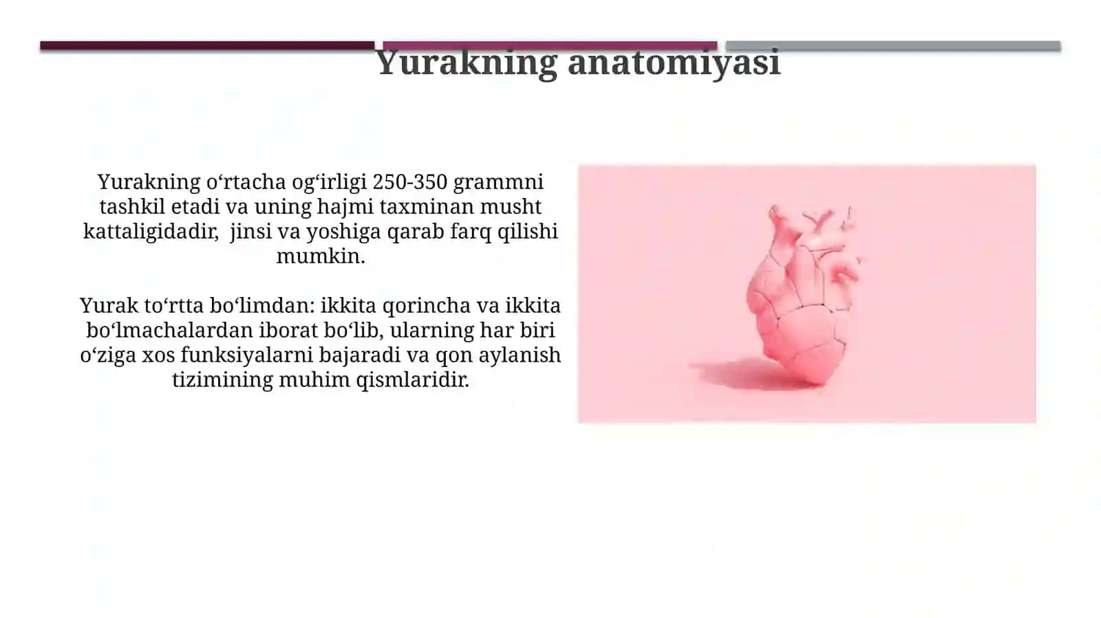 Yurak kasalliklari 3