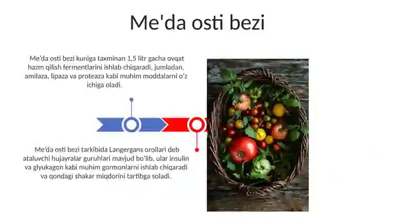 Ovqat hazm qilish organlari 3