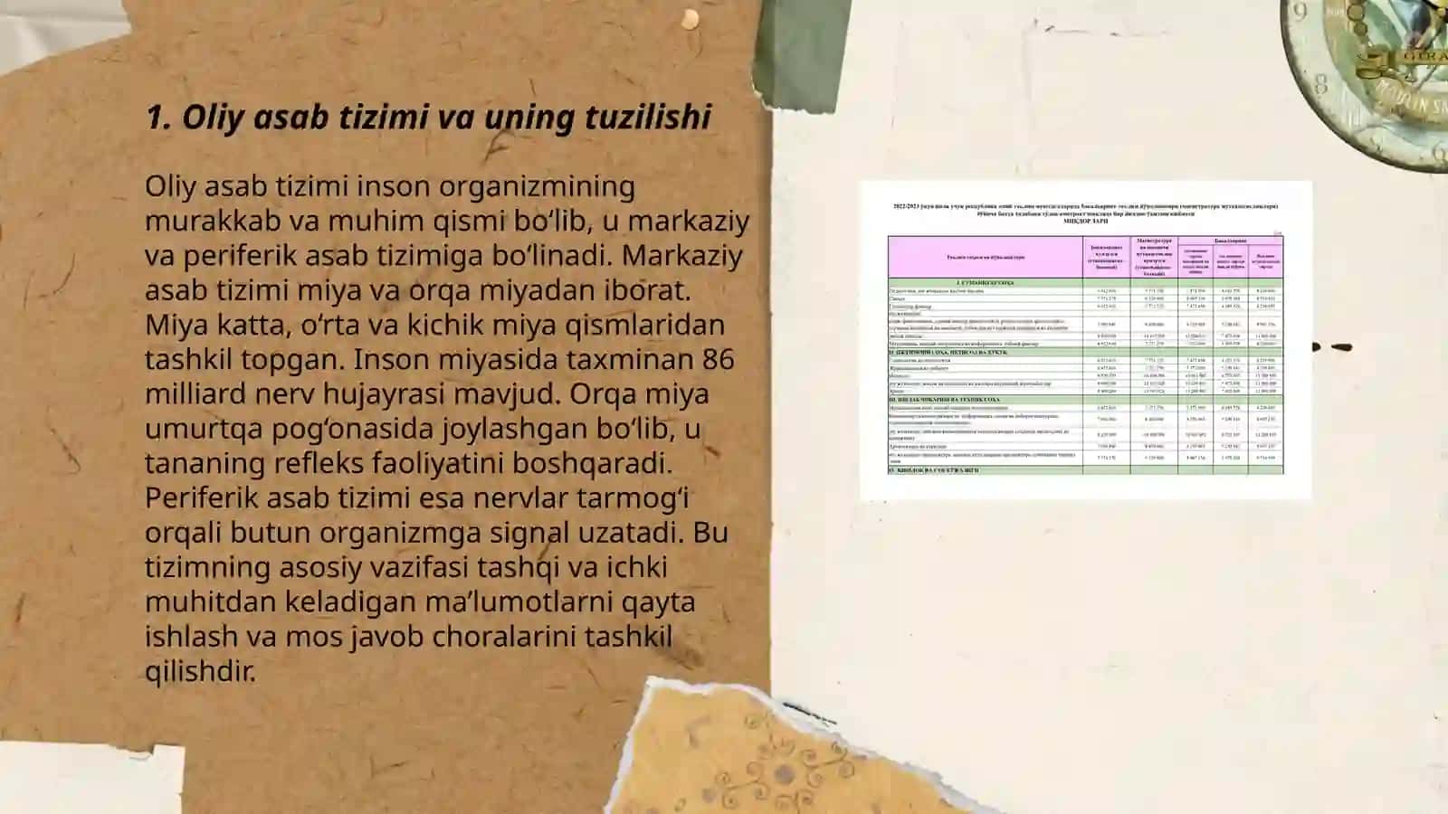 Oliy asab faoliyati haqida. I.P.Pavlovning taʼlimoti 3