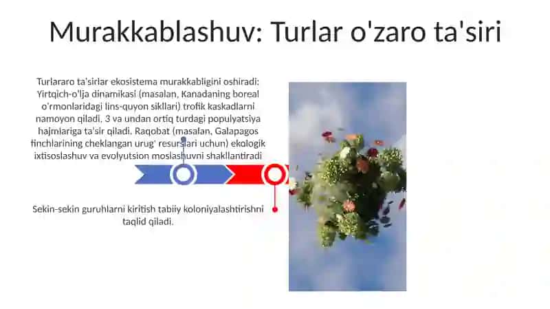 Murakkab Ekosistemalar 3