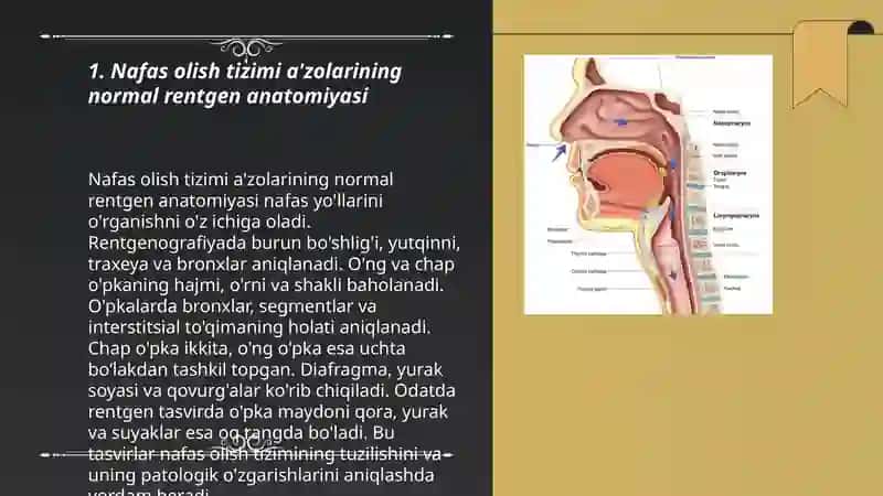 Radiologik tekshirish usullari 3