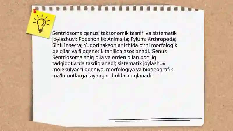 Sentriosoma 3
