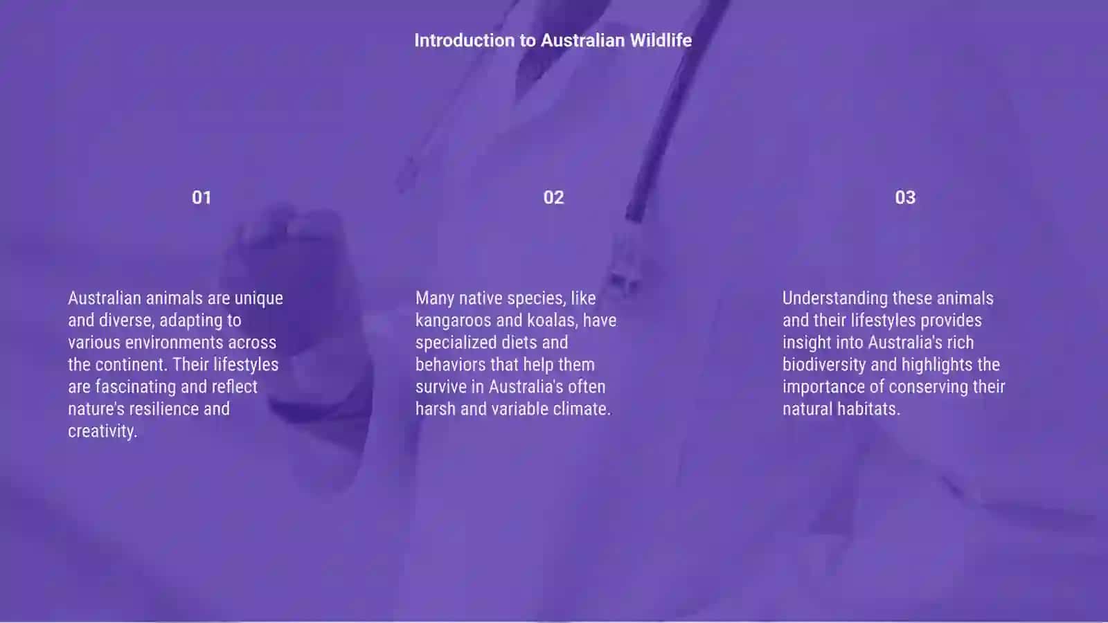 Australian animals and their lifestyle 3