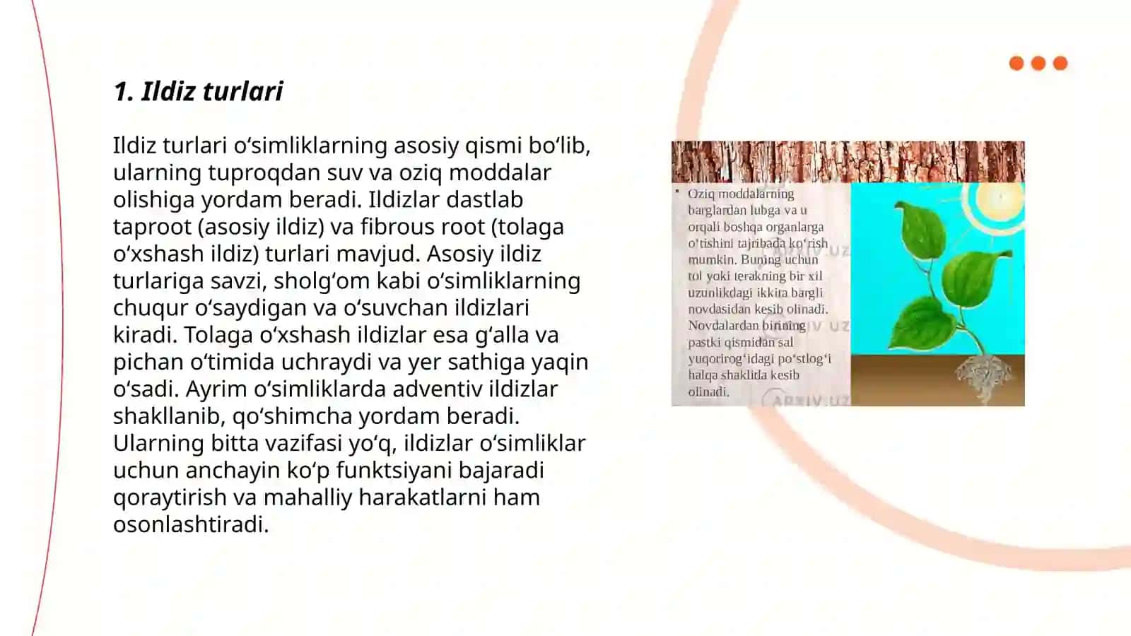 Ildizlar Turlari 3