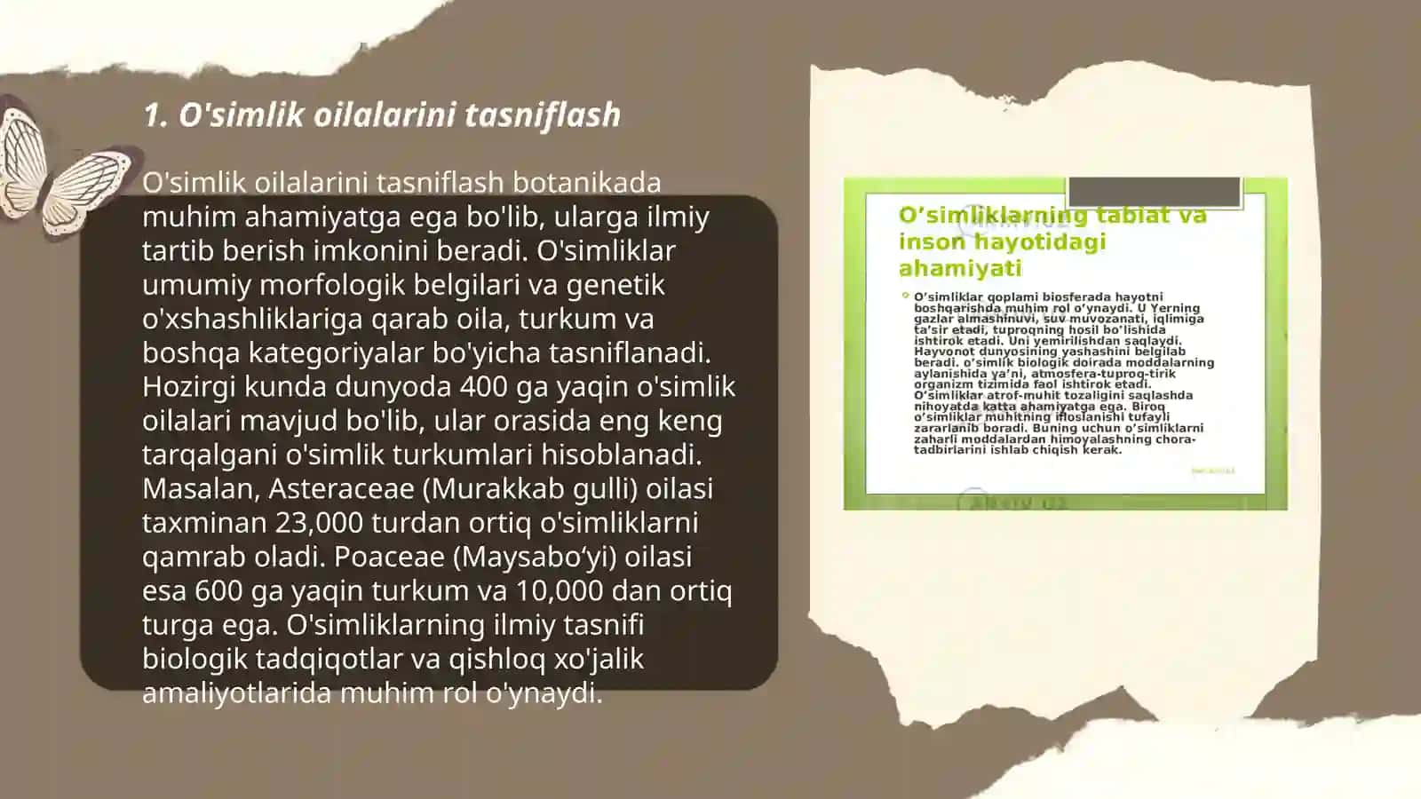 O'simliklarning oilalari haqida 3