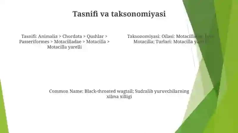 Sudralib Yuruvchilarning Xilma Xilligi 3