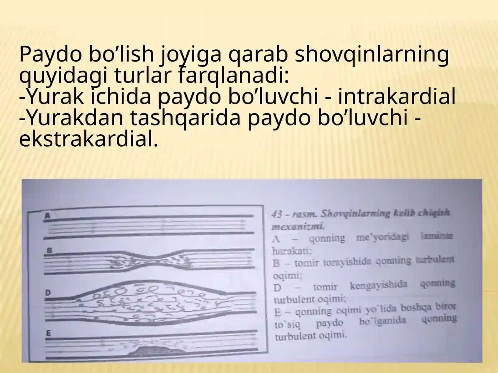 Yurak shovqinlari va  davolash 3