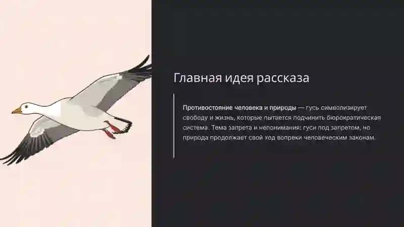 Пролетный гусь 3
