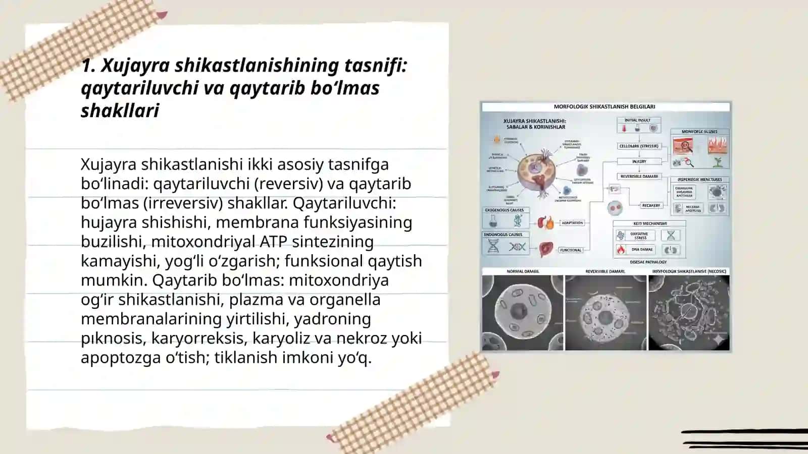 Xujayra shikastlanishi 3