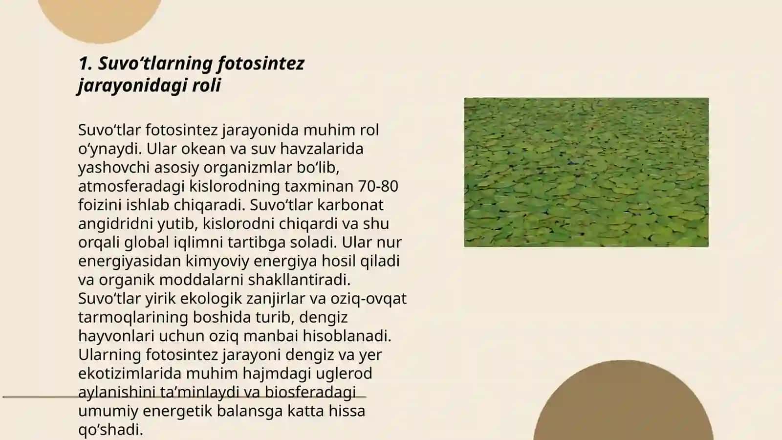 Suvoʻtlarning tabiatdagi va inson hayotidagi ahamiyati 3