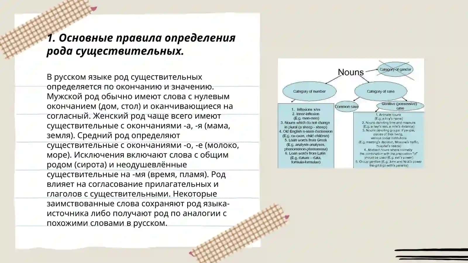 Род имён существительных 3