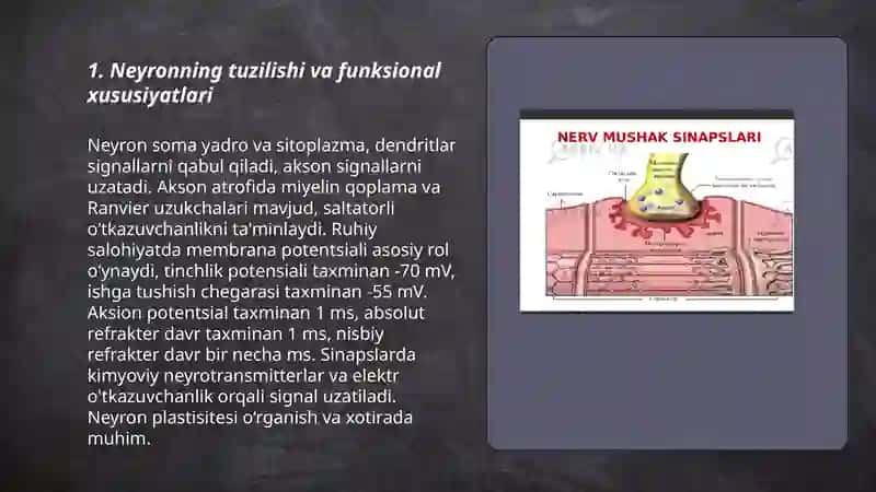 Nerv tizimining xususiy fiziologiyasi 3