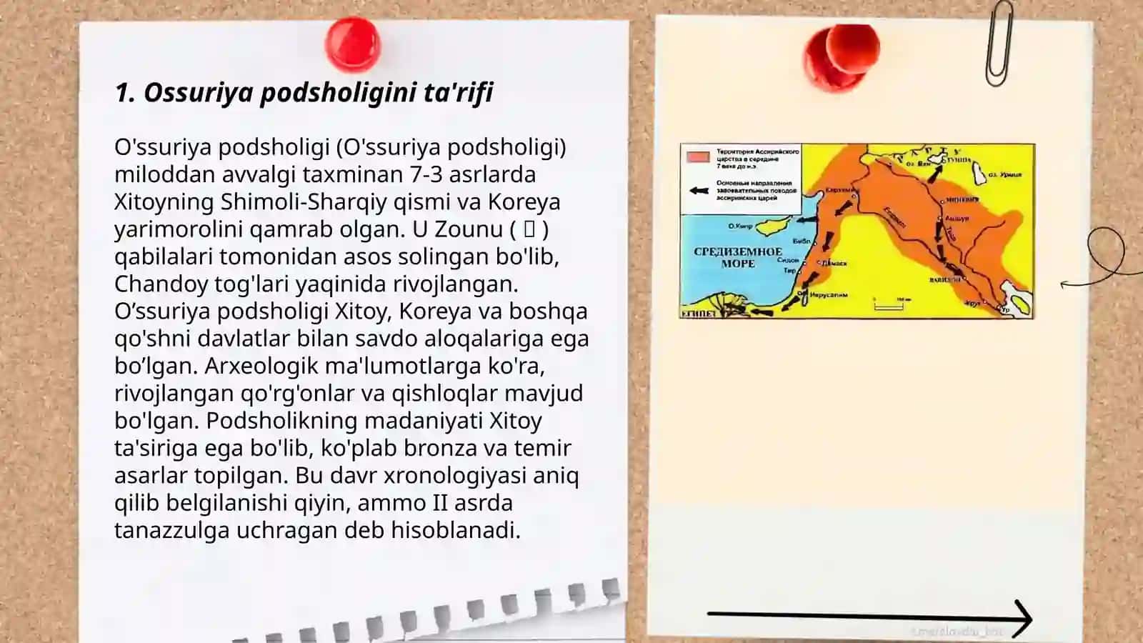 Ossuriya podsholigi 3