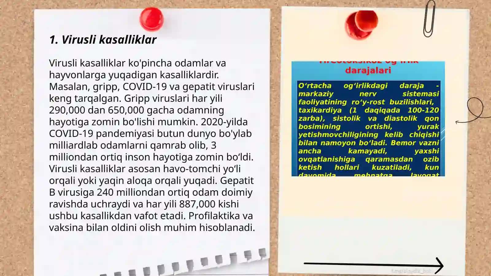 Virusli kasalliklar 3