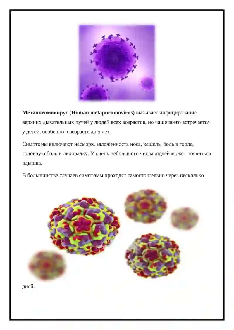 Возбудители острых респираторных инфекций 3